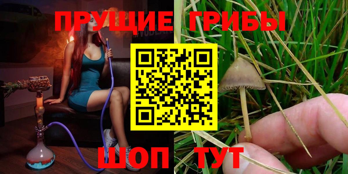 Псилоцибиновые грибы GOLDEN TEACHER Кызыл