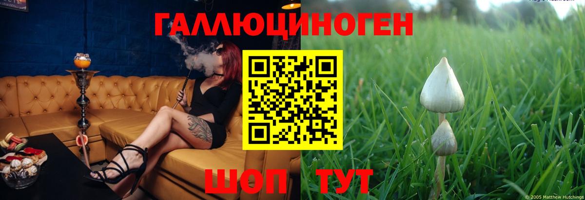 Кызыл  Псилоцибиновые грибы ЛСД  Вход с VPN  Псилоцибиновые грибы ЛСД 
